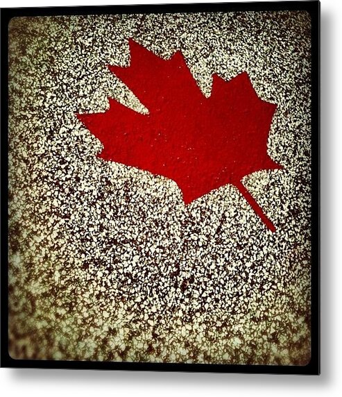 Jj_negative_space Metal Print featuring the photograph Maple Leaf by Christopher Campbell