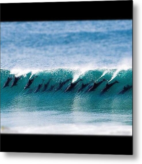 Surf Metal Print featuring the photograph #mar #golfinho #surf #fernandodenoronha by Bruno Leo