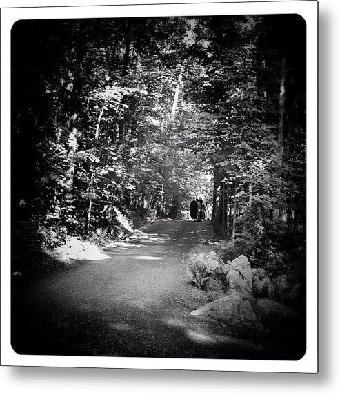 Blackandwhite Metal Print featuring the photograph Monks In The Woods by Natasha Marco