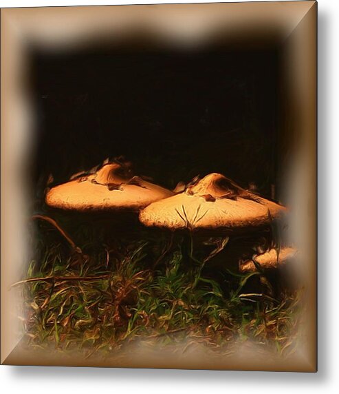 Landscape Metal Print featuring the digital art Mushrooms by Karen Harrison Brown