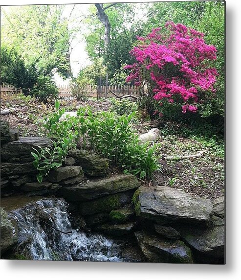 Flower Metal Print featuring the photograph My Secret Garden by Michelle White