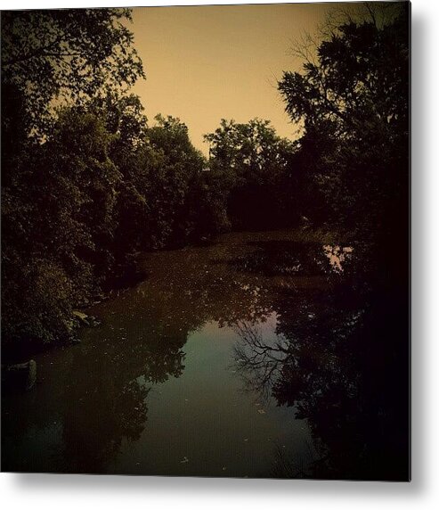 Beautiful Metal Print featuring the photograph Nature's First Green Is Gold by Jami Tammerine