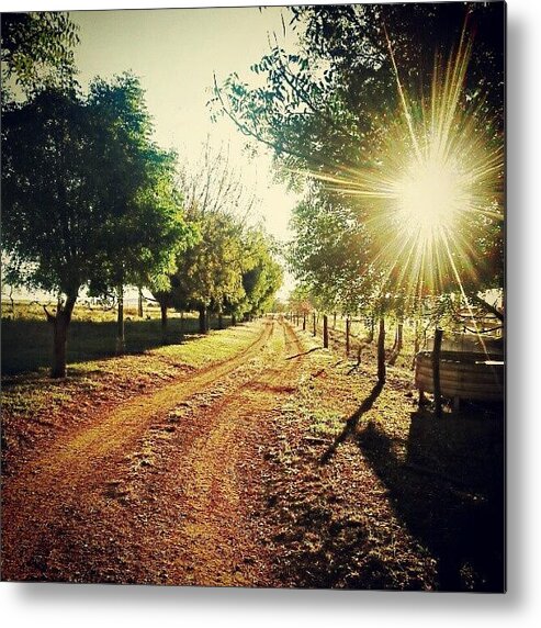 Instragamhub Metal Print featuring the photograph On The Farm... The Way To The Paradise by Marcelo Donhsa