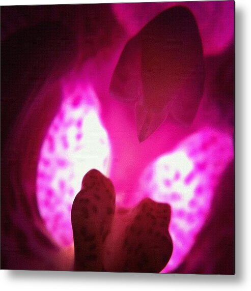 Rcspics Metal Print featuring the photograph Orchid by Dave Edens