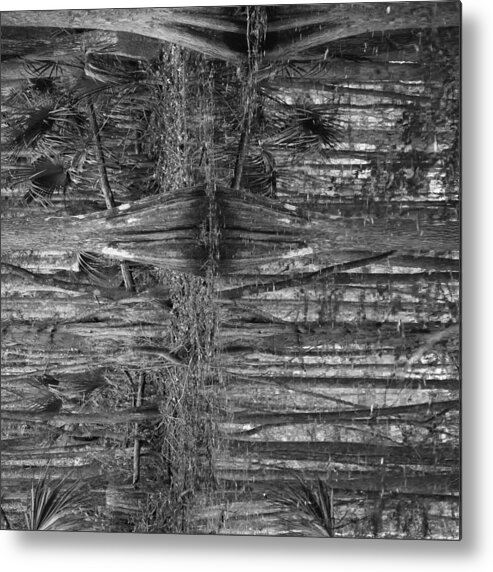 Black And White Metal Print featuring the photograph Perspective by Joseph G Holland