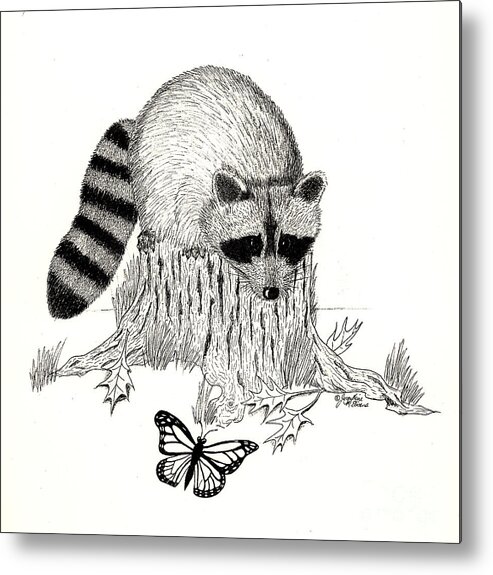 Raccoon Metal Print featuring the drawing Raccoon and Monarch by Jackie Irwin