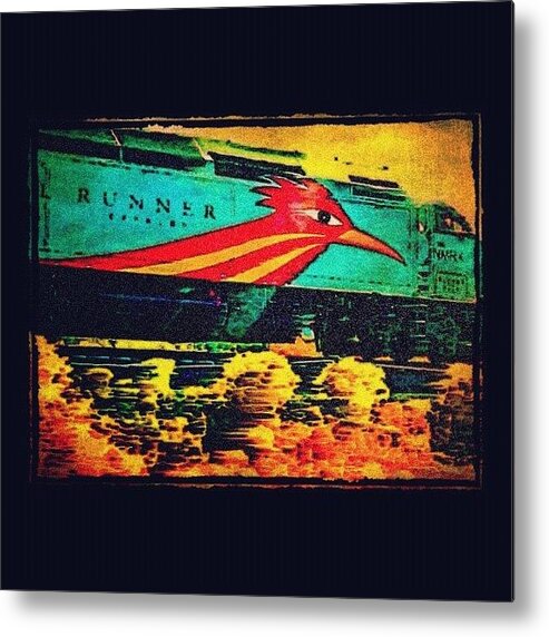 Photograph Metal Print featuring the photograph Rail Runner by Paul Cutright