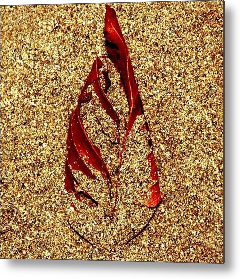 Golden Metal Print featuring the photograph #red #leaf #withered #sand #skeleton by Michael Lynch
