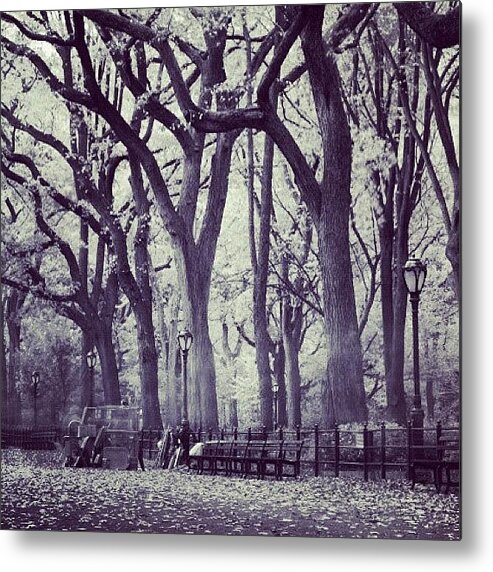 Europe Metal Print featuring the photograph Seasons Change by Randy Lemoine