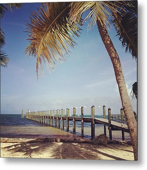 Florida Metal Print featuring the photograph Short Walk Down a Long Dock by Michele Green Williams