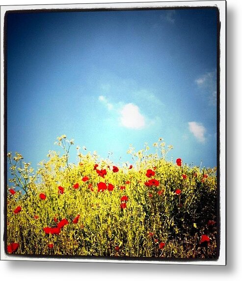 Rptw Metal Print featuring the photograph #sky #clouds #flowers #colors Yesterday by Robbert Ter Weijden