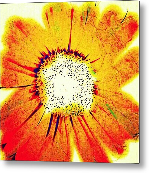 40likes Metal Print featuring the photograph So Bright A Flower Do Not Burn Out The by Katrise Fraund