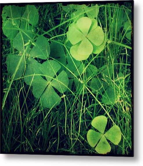 Green Metal Print featuring the photograph So Lucky by Robin Dickinson