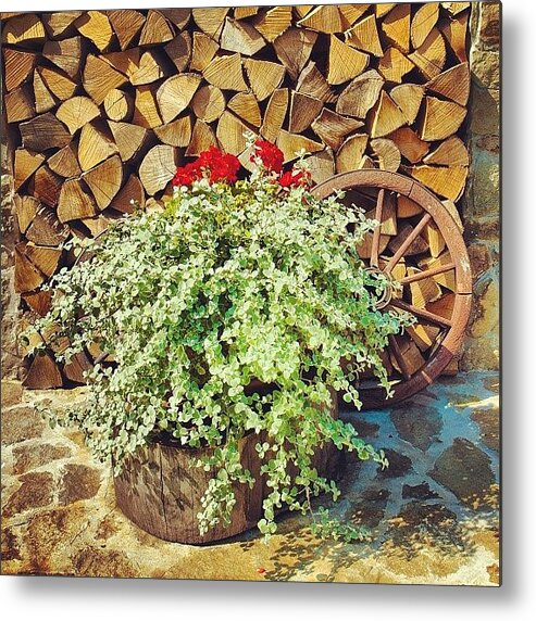 Igersrussia Metal Print featuring the photograph Somewhere In The Pieniny,poland by Grigorii Arzhanykh
