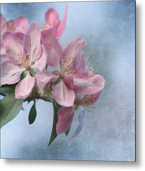 Flower Metal Print featuring the photograph Spring Blossoms for the Cure by Kim Hojnacki