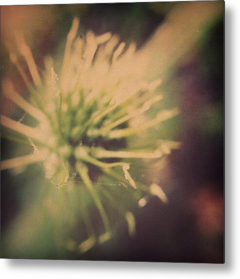 Rcspics Metal Print featuring the photograph Starburst by Dave Edens