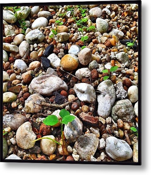 Stones Metal Print featuring the photograph Stoney. #ha #stones #rocks #nature by Emily W