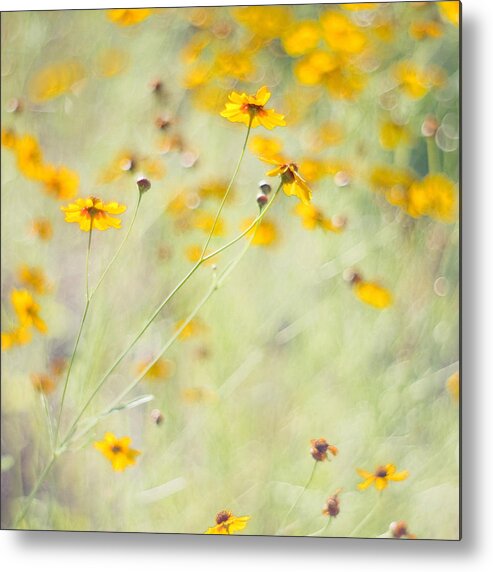 Wildflowers Metal Print featuring the photograph Summer Invitation by Joel Olives