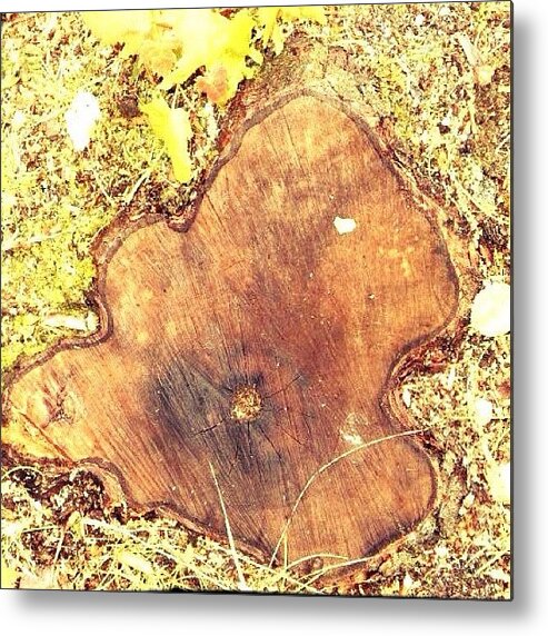  Metal Print featuring the photograph Surrealism Tree Stump by Kln Sink