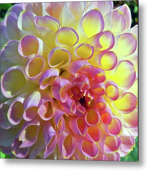Abstract Metal Print featuring the photograph Sweet As Honey by Pamela Patch