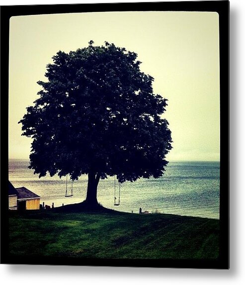 Trees Metal Print featuring the photograph Swings By The Sea by Luke Kingma