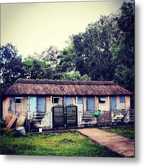 Summer Metal Print featuring the photograph Thatched Roof Mauritian Farmhouse by Fotocrat Atelier