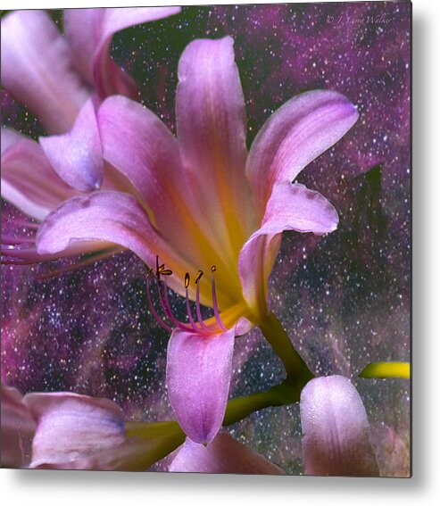 J Larry Walker Metal Print featuring the digital art The Beauty Of Pollination by J Larry Walker
