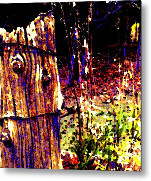 Fencepost Metal Print featuring the photograph The Post by Renate Wesley