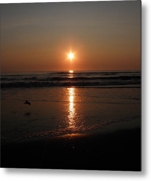 Sunrise Metal Print featuring the photograph The Star in the Sky by Kim Galluzzo