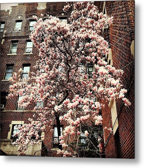  Metal Print featuring the photograph This Is How I Know It's Spring. This by Prairie Rose