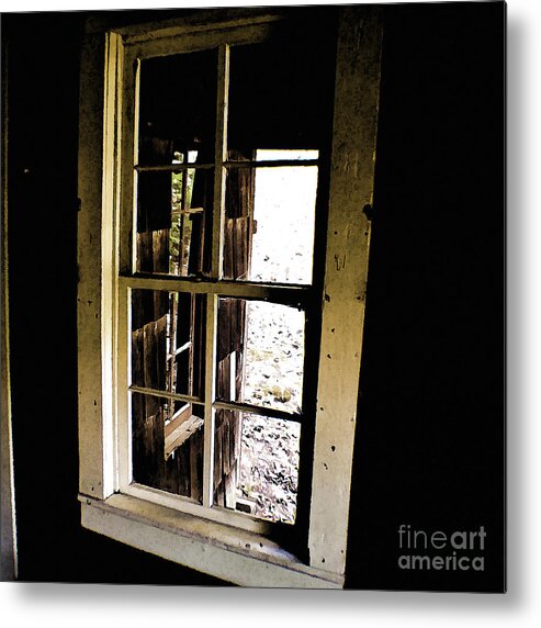 Finch Metal Print featuring the photograph Through the Looking Glass by Cris Hayes