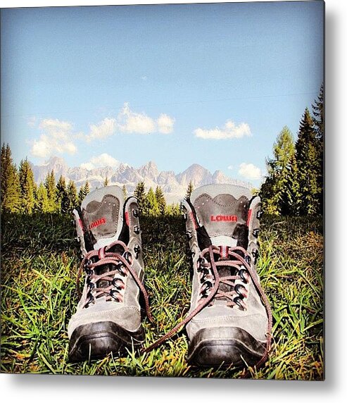 Outdoor Metal Print featuring the photograph Tracking by Luisa Azzolini