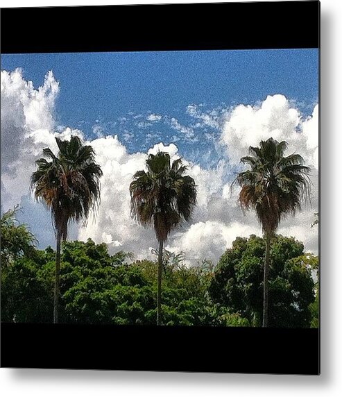 Domlnlc Metal Print featuring the photograph Tropical Spot by Luis Alberto
