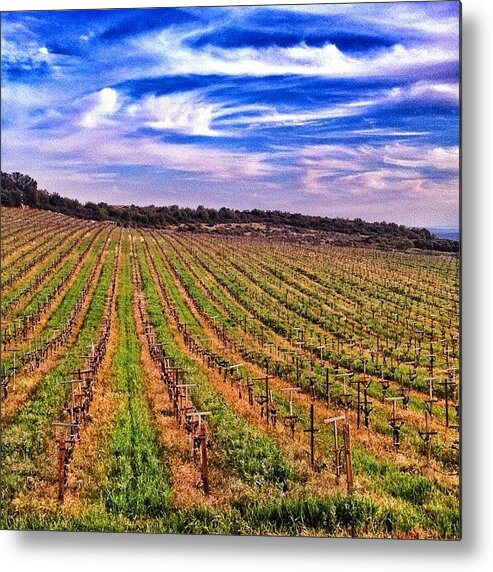 Landscapestyles_gf Metal Print featuring the photograph Vineyard Views High Above #napavalley by Peter Stetson