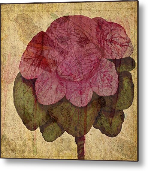 Digital Metal Print featuring the photograph Vintage Cabbage by Bonnie Bruno