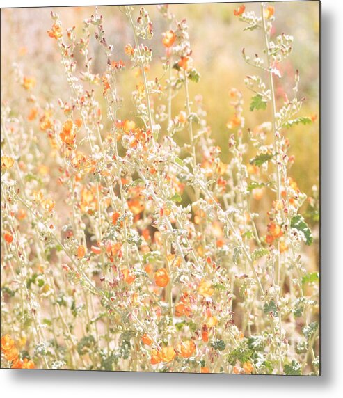 Flora Metal Print featuring the photograph Wanderlings by Lisa Argyropoulos