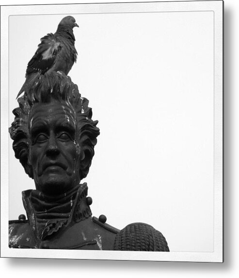 Statue Metal Print featuring the photograph Washington #bird #statue #washington by Jessie Schafer