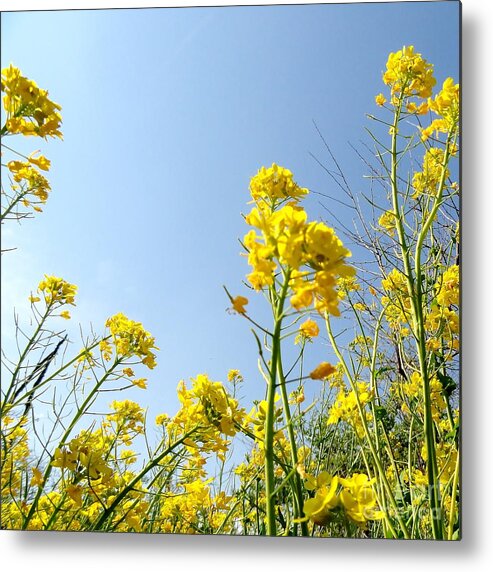 Weeds Metal Print featuring the photograph Whispers In The Wind by Elizabeth Hernandez
