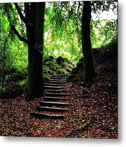 Woodland Metal Print featuring the photograph #woodland #forest #steps by Fay Pead