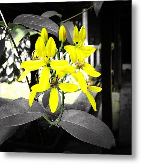 Igaddicts Metal Print featuring the photograph Yellow by Ellie Doong