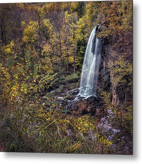 Virginia Metal Print featuring the photograph Autumn At Falling Spring #1 by Robert Fawcett