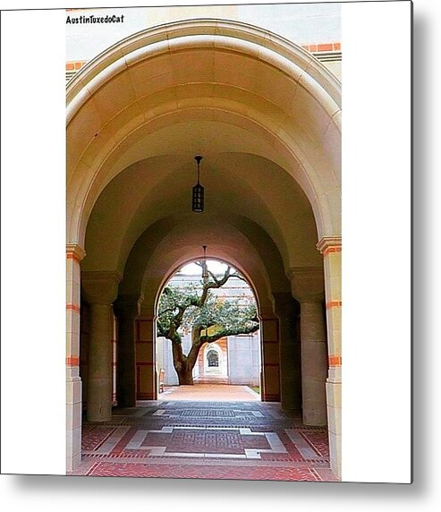 Houston Metal Print featuring the photograph I Love All The #arches At #rice #1 by Austin Tuxedo Cat