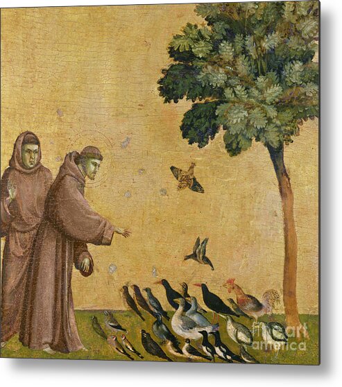 Francis Metal Print featuring the painting Saint Francis of Assisi preaching to the birds by Giotto di Bondone