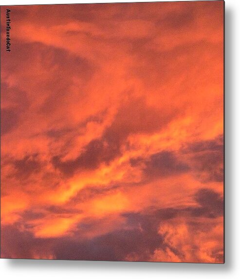 Sunrise_and_sunsets Metal Print featuring the photograph The #sky Has Been On #fire In #1 by Austin Tuxedo Cat