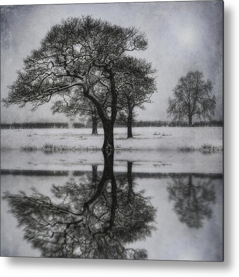 Lake Metal Print featuring the photograph Winter Lake #1 by Ian Mitchell