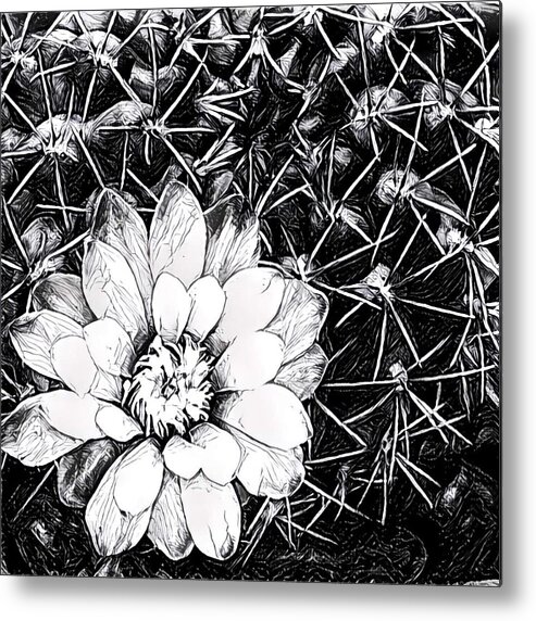  Metal Print featuring the digital art Cacti #2 by M Sullivan Image and Design