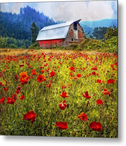 Appalachia Metal Print featuring the photograph Country Charm #3 by Debra and Dave Vanderlaan
