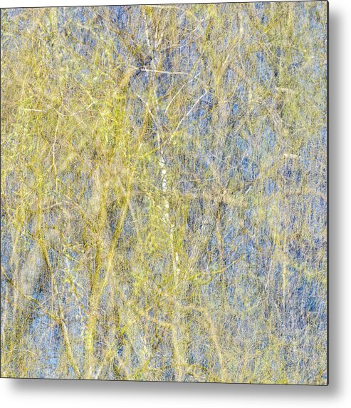 Spring Metal Print featuring the photograph Spring Season - Inspired by Jackson Pollock by Shankar Adiseshan