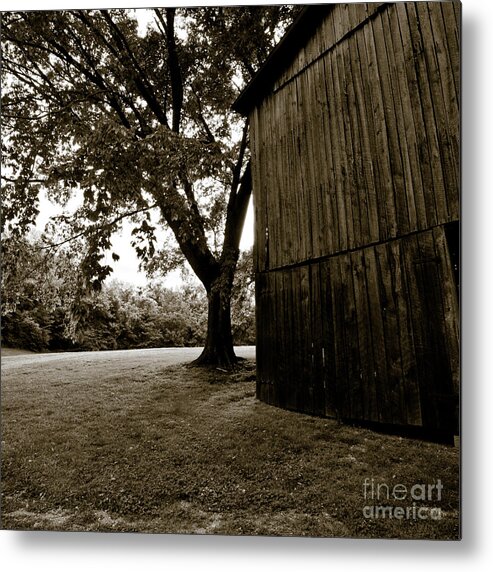 Allen Metal Print featuring the photograph Tennessee Country #38 by Avril Christophe