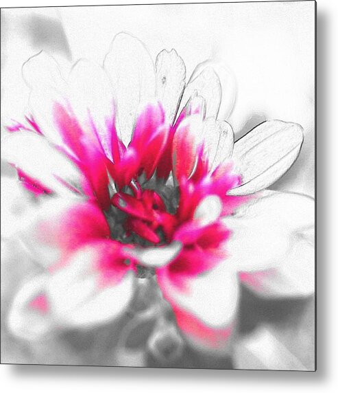  Metal Print featuring the photograph Flower #9 by Kumiko Izumi